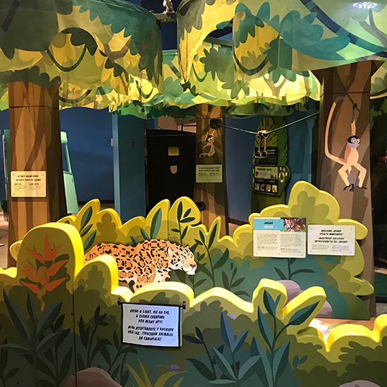 overview of the Rainforest component